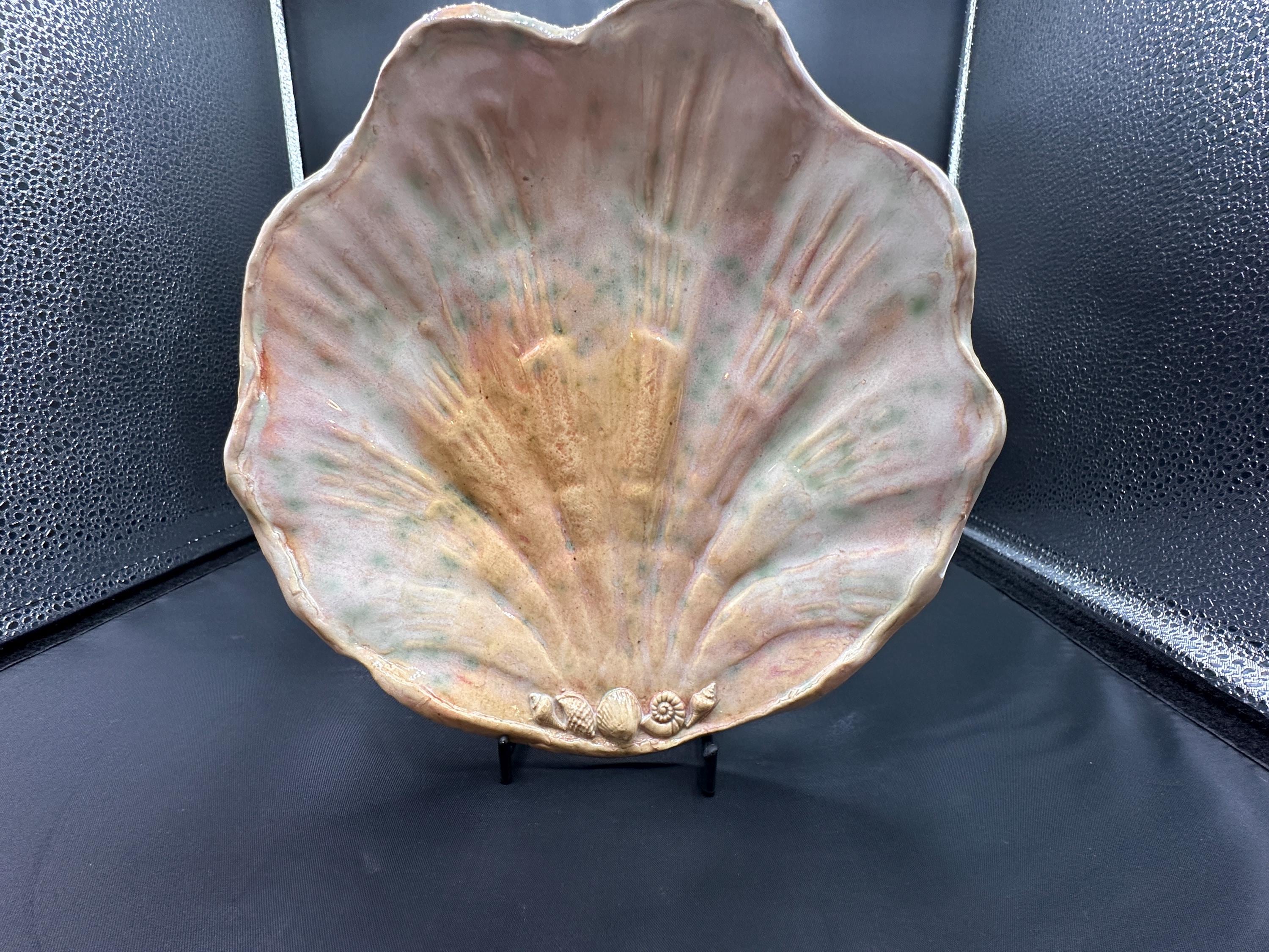 Seashell of seashells