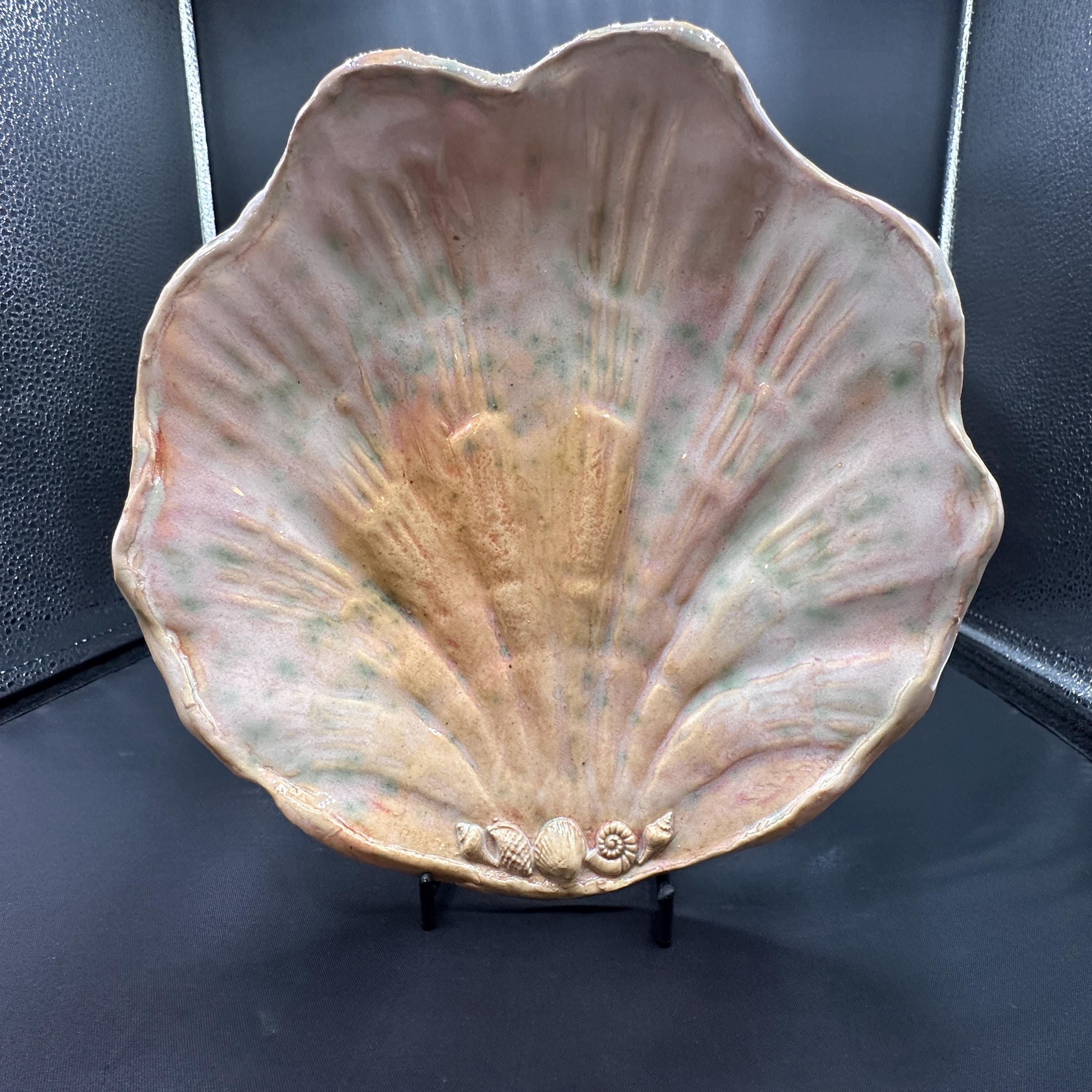 Seashell of seashells